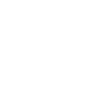 brand identity icon